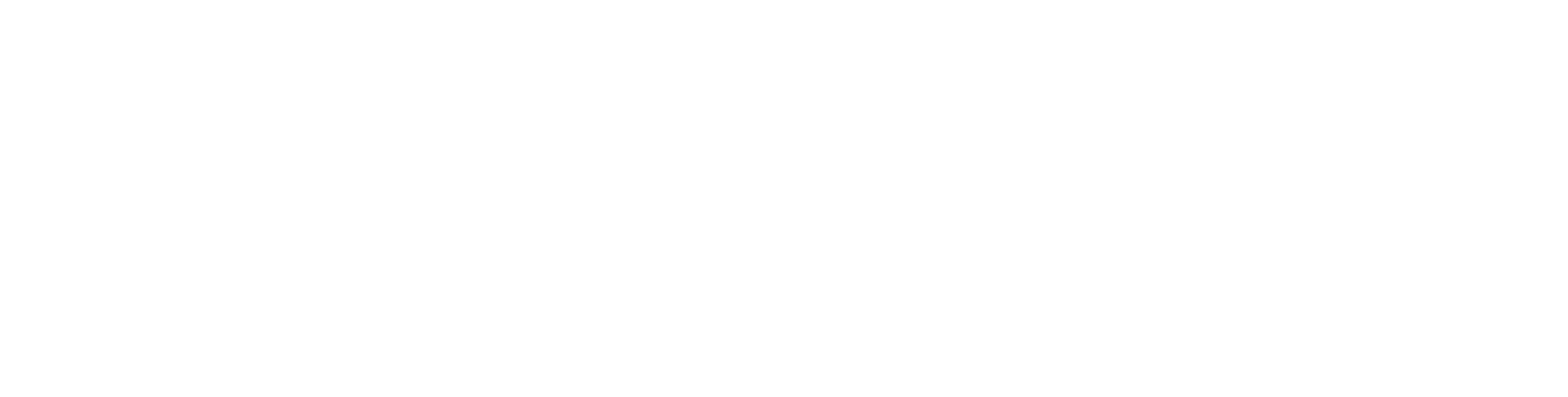 Teslaboralb2b